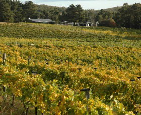 Lark Hill Biodynamic Winery - St Kilda Accommodation 2