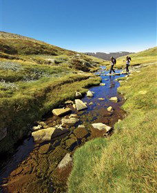 Australian Alps Walking Track - St Kilda Accommodation 0