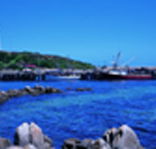 King Island Dairies - St Kilda Accommodation