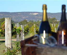 Ugly Duckling Wines - St Kilda Accommodation 1