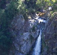 Lyrebird Falls walking track - St Kilda Accommodation