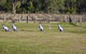 Wollombi Wines - thumb 5