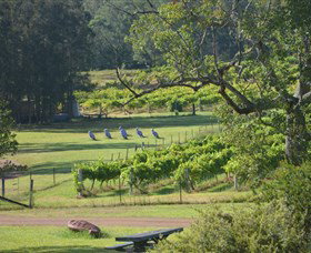 Wollombi Wines - St Kilda Accommodation 8