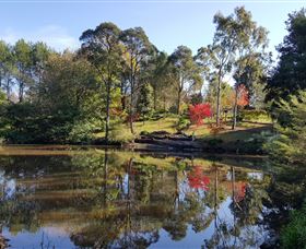 Bellbird Cottage - St Kilda Accommodation 1