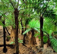 Pegarah Private Nature Reserve  Parenna Place - St Kilda Accommodation