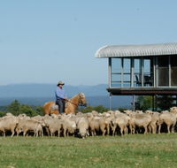 Tobruk Sydney - St Kilda Accommodation