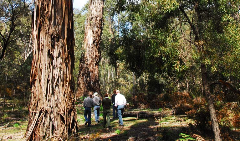 Araluen NSW St Kilda Accommodation
