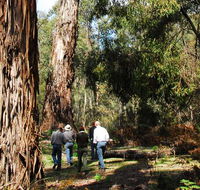 Tallaganda National Park - St Kilda Accommodation