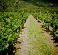 Gartelmann Wines - St Kilda Accommodation