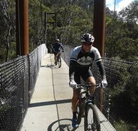 McGees Cycling Store - St Kilda Accommodation