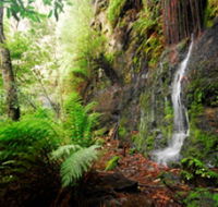 Fairy Bower Falls - St Kilda Accommodation