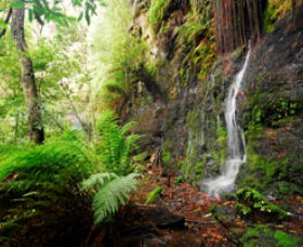 Fairy Bower Falls - St Kilda Accommodation 0
