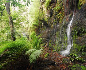 Fairy Bower Falls - St Kilda Accommodation 2