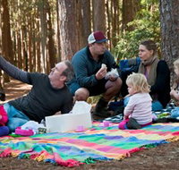 State Forests of the Watagan Mountains - St Kilda Accommodation