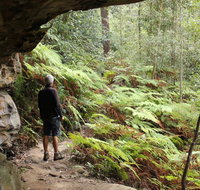 Dharug National Park - St Kilda Accommodation