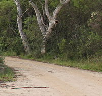 Riverview walking track - St Kilda Accommodation