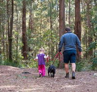 Olney State Forest - Watagan Mountains - St Kilda Accommodation