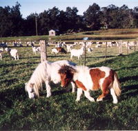 Trudgalong Farm - St Kilda Accommodation