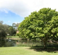 Hervey Bay Botanic Gardens - St Kilda Accommodation