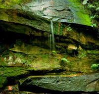 Strickland State Forest - St Kilda Accommodation