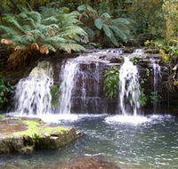 Barrington Tops National Park Walks - St Kilda Accommodation