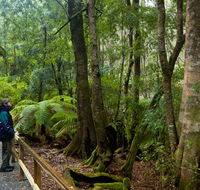 Monga National Park - St Kilda Accommodation