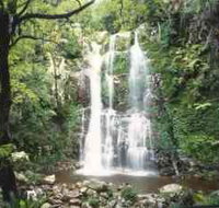 Budderoo National Park - The Falls Walk - St Kilda Accommodation