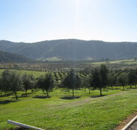 Hastings Valley Olives - St Kilda Accommodation