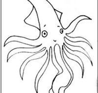 Squid Studio - St Kilda Accommodation