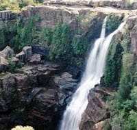 Minnamurra Rainforest Centre Budderoo National Park - St Kilda Accommodation