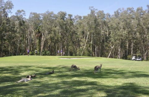 Emerald Downs Golf Course - St Kilda Accommodation 4