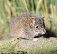 Munmorah State Conservation Area - St Kilda Accommodation