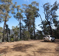 Wadbilliga Road drive - St Kilda Accommodation
