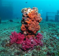 HMAS Brisbane Dive Site - St Kilda Accommodation