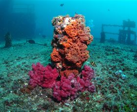 HMAS Brisbane Dive Site - St Kilda Accommodation 0