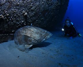HMAS Brisbane Dive Site - St Kilda Accommodation 3