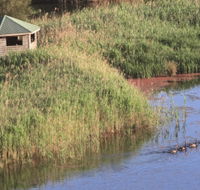 Spring Creek Bird Hide - St Kilda Accommodation