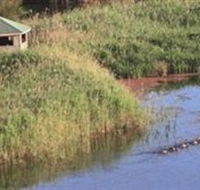 Spring Creek Wetlands Walk - St Kilda Accommodation