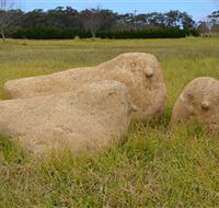 Unreal Rocks Statue Gallery - St Kilda Accommodation