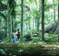 Illinbah circuit - St Kilda Accommodation