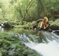 Dave's Creek circuit - St Kilda Accommodation