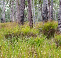 Narrawallee Inlet walking track - St Kilda Accommodation