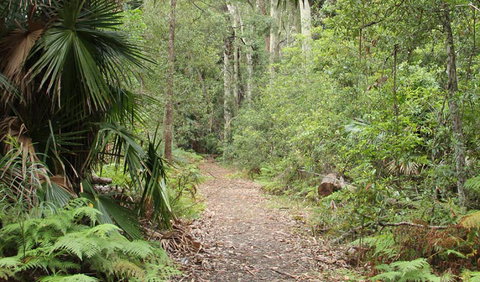 Lake Walking Track - St Kilda Accommodation 0
