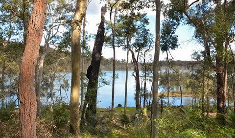 Lake Walking Track - St Kilda Accommodation 1