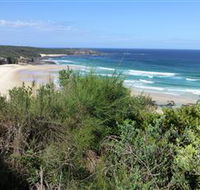 South Pacific Heathland Reserve - St Kilda Accommodation