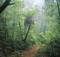 Wagawn - St Kilda Accommodation