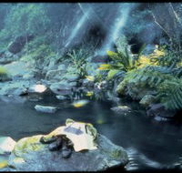 Coomera circuit - St Kilda Accommodation