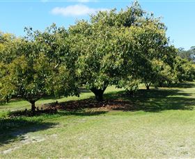 The Avocado Farm - St Kilda Accommodation 1