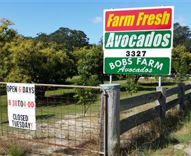 The Avocado Farm - St Kilda Accommodation 3