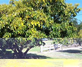 The Avocado Farm - St Kilda Accommodation 2